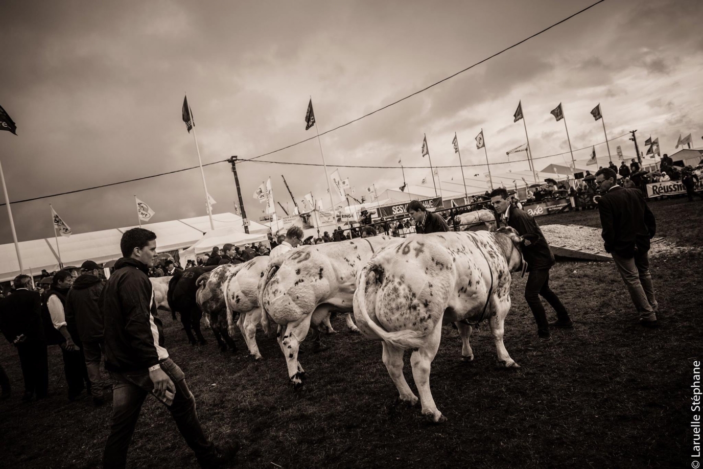 Landbouwbeurs van Libramont
