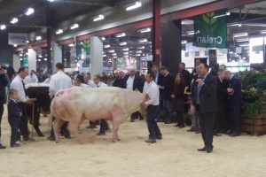 Inauguration de Tournaiagridays - Foire agricole